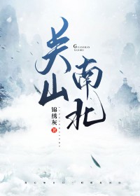 关山南北小说免费