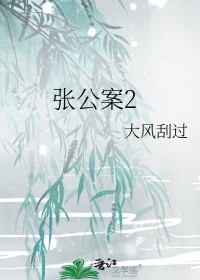 张公案2写的啥