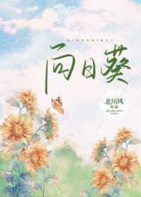 向日葵的花季歌曲