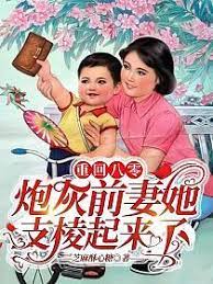 重生之八零大佬的炮灰前妻