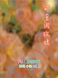 可食用玫瑰花批发100支